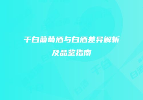 干白葡萄酒与白酒差异解析及品鉴指南