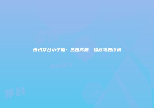 贵州茅台小子酒：品味高端，珍藏攻略详析
