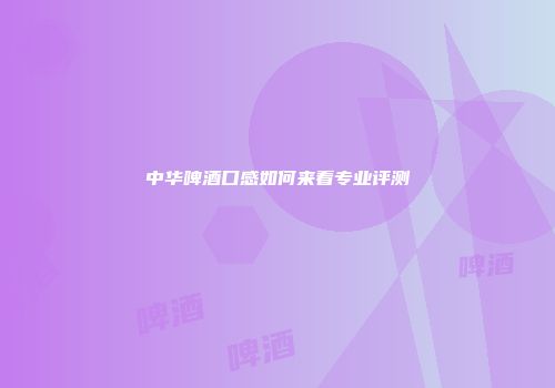 中华啤酒口感如何来看专业评测