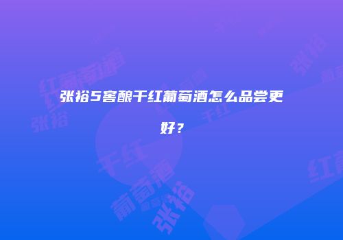 张裕5窖酿干红葡萄酒怎么品尝更好？
