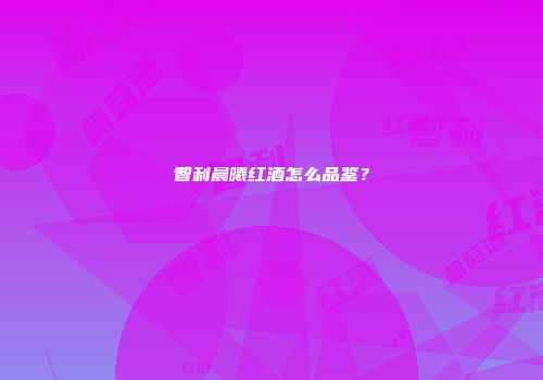 智利晨曦红酒怎么品鉴？