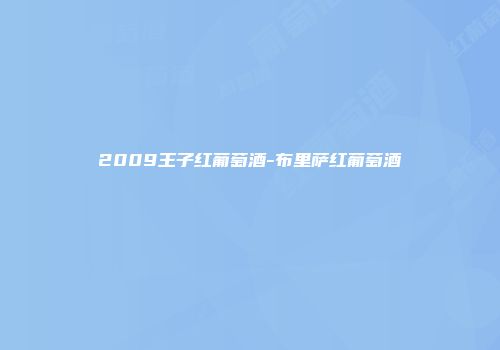 2009王子红葡萄酒-布里萨红葡萄酒