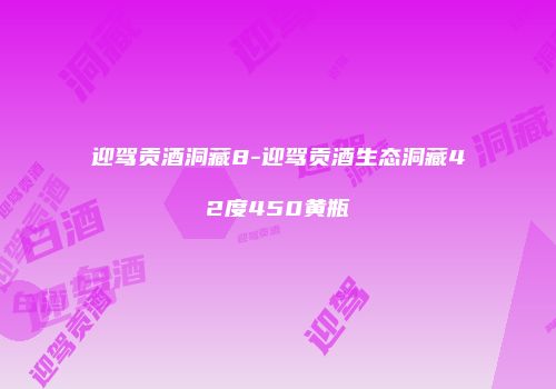 迎驾贡酒洞藏8-迎驾贡酒生态洞藏42度450黄瓶