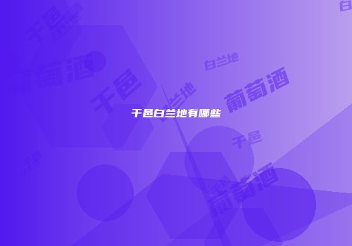 干邑白兰地有哪些