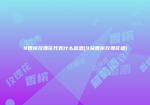 9香槟玫瑰花代表什么意思(9朵香槟玫瑰花语)