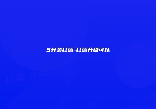 5升装红酒-红酒升级可以