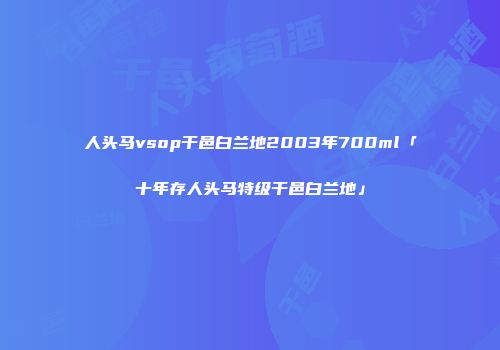 人头马vsop干邑白兰地2003年700ml「十年存人头马特级干邑白兰地」
