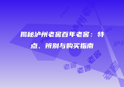 揭秘泸州老窖百年老窖：特点、辨别与购买指南