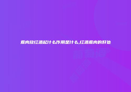 煮肉放红酒起什么作用是什么,红酒煮肉的好处