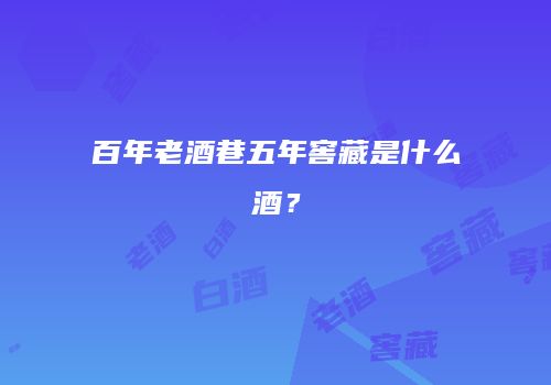 百年老酒巷五年窖藏是什么酒？