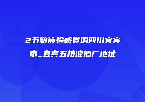2五粮液珍感觉酒四川宜宾市_宜宾五粮液酒厂地址