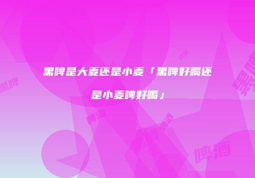 黑啤是大麦还是小麦「黑啤好喝还是小麦啤好喝」
