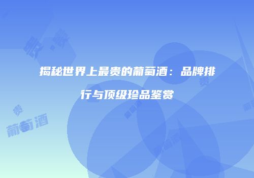 揭秘世界上最贵的葡萄酒：品牌排行与顶级珍品鉴赏