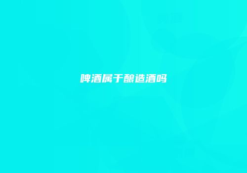 啤酒属于酿造酒吗