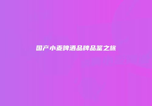 国产小麦啤酒品牌品鉴之旅