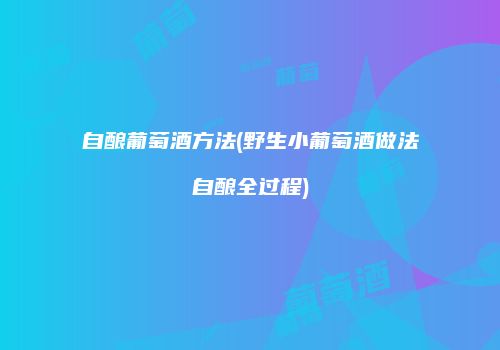 自酿葡萄酒方法(野生小葡萄酒做法自酿全过程)