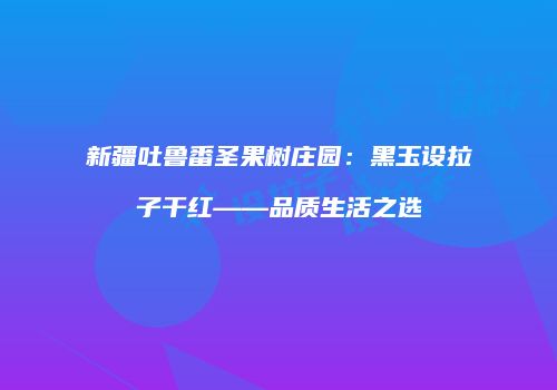 新疆吐鲁番圣果树庄园：黑玉设拉子干红——品质生活之选