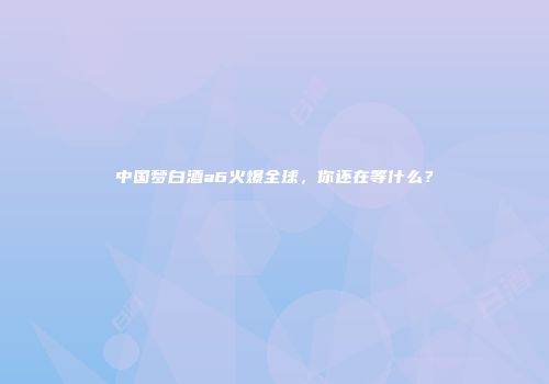 中国梦白酒a6火爆全球，你还在等什么？