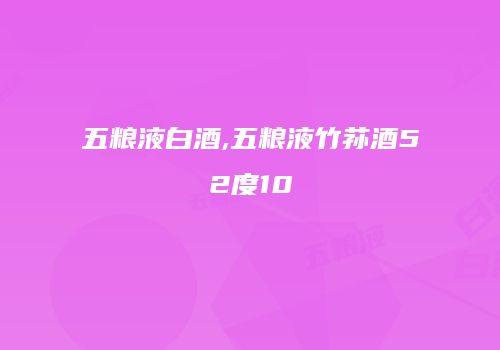 五粮液白酒,五粮液竹荪酒52度10