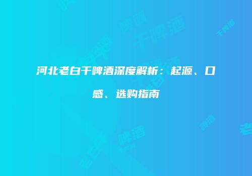 河北老白干啤酒深度解析：起源、口感、选购指南