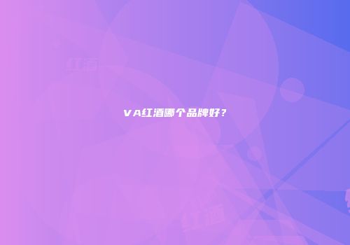 VA红酒哪个品牌好？
