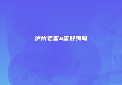 泸州老窖u窖好喝吗