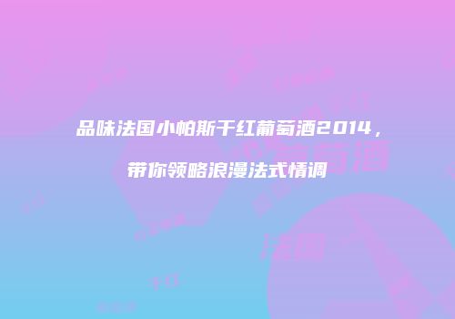 品味法国小帕斯干红葡萄酒2014，带你领略浪漫法式情调