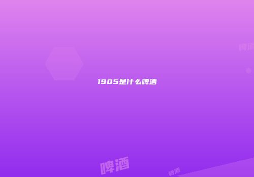 1905是什么啤酒