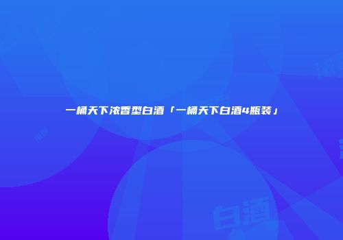 一桶天下浓香型白酒「一桶天下白酒4瓶装」