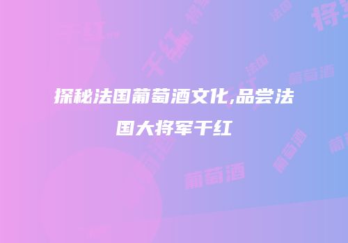 探秘法国葡萄酒文化,品尝法国大将军干红