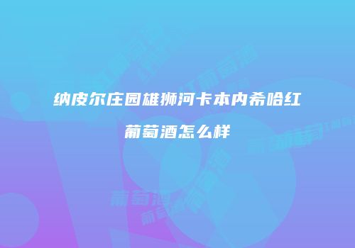 纳皮尔庄园雄狮河卡本内希哈红葡萄酒怎么样
