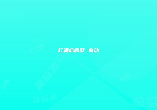 红酒启瓶器 电动