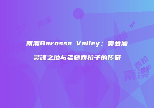 南澳Barossa Valley：葡萄酒灵魂之地与老藤西拉子的传奇