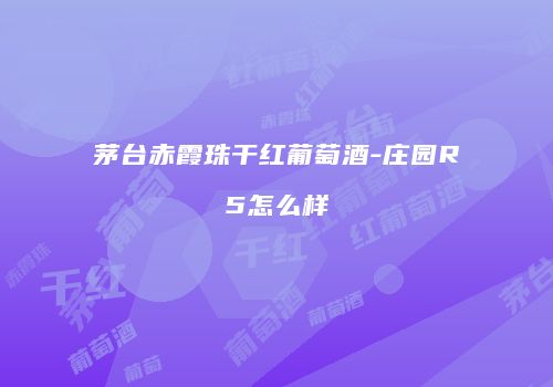 茅台赤霞珠干红葡萄酒-庄园R5怎么样