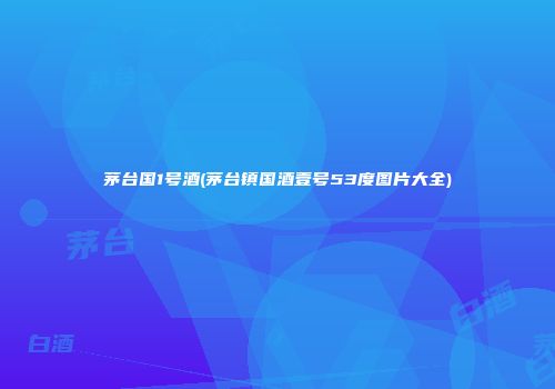 茅台国1号酒(茅台镇国酒壹号53度图片大全)