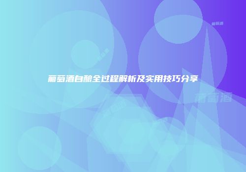 葡萄酒自酿全过程解析及实用技巧分享