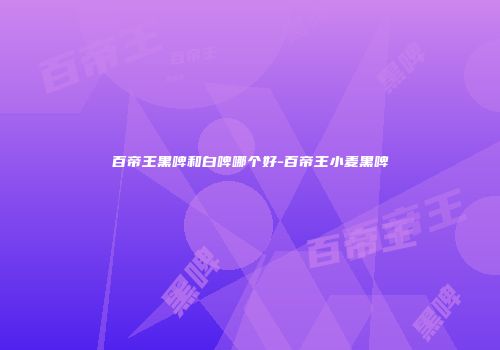百帝王黑啤和白啤哪个好-百帝王小麦黑啤