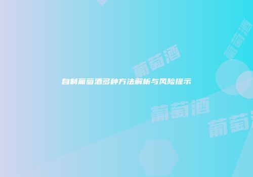 自制葡萄酒多种方法解析与风险提示