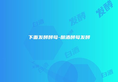 下面发酵酵母-酿酒酵母发酵