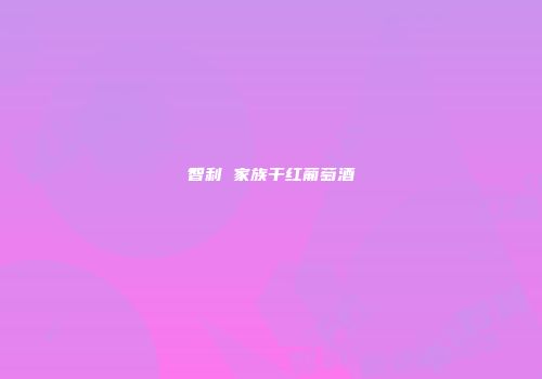 智利 家族干红葡萄酒