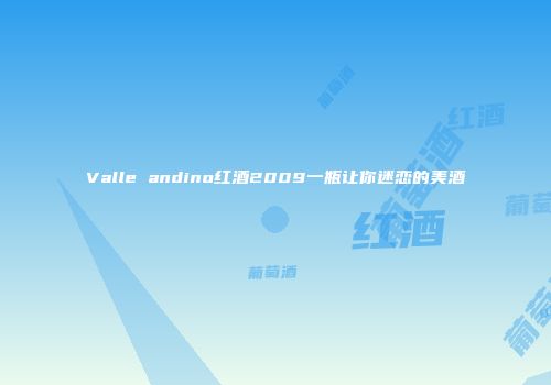 Valle andino红酒2009一瓶让你迷恋的美酒