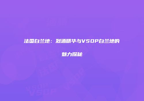 法国白兰地：烈酒精华与VSOP白兰地的魅力探秘