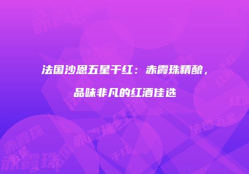 法国沙恩五星干红：赤霞珠精酿，品味非凡的红酒佳选