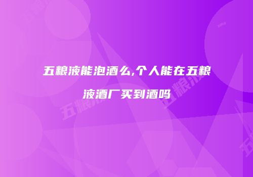 五粮液能泡酒么,个人能在五粮液酒厂买到酒吗
