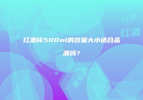 红酒杯500ml的容量大小适合品酒吗？