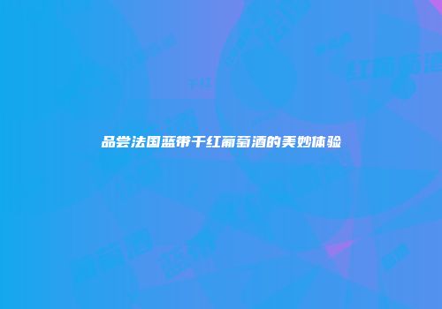 品尝法国蓝带干红葡萄酒的美妙体验