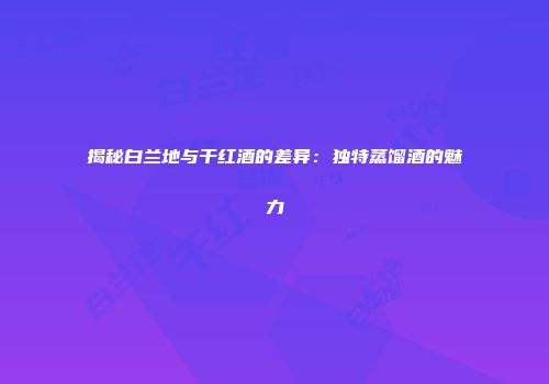 揭秘白兰地与干红酒的差异：独特蒸馏酒的魅力