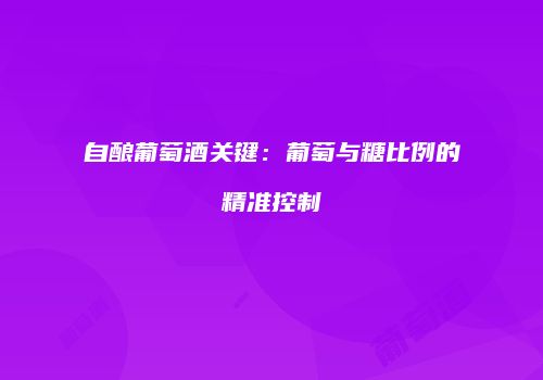 自酿葡萄酒关键：葡萄与糖比例的精准控制