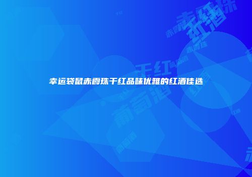 幸运袋鼠赤霞珠干红品味优雅的红酒佳选