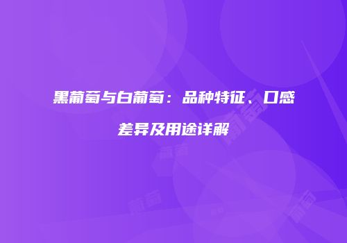 黑葡萄与白葡萄：品种特征、口感差异及用途详解